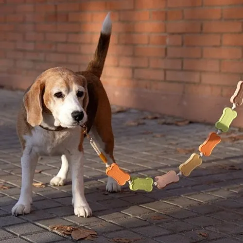 Correa perro Biscuit, con forma de galletas, de Balvi.